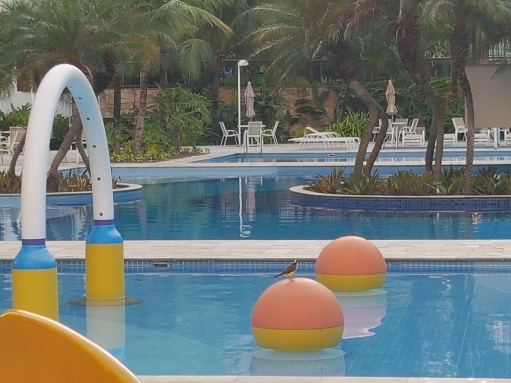 Sweet Comfort Apartment In Rio Rio de Janeiro Esterno foto